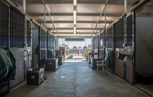Plans are in place to add 400 more stables to the exisiting 1,200, so that no WEG horse has to slum it in temporary accommodation — all complete with fans