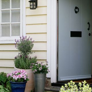 entrance with potted plant and white door