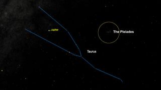 A star map of the constellation Taurus. Jupiter is visible near the constellation's main stars, and The Pleiades (M45) cluster is highlighted within a yellow circle to the right. The Taurus constellation lines are outlined in blue.