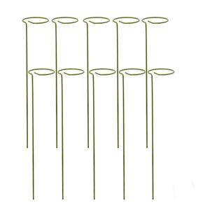 plant support stakes small