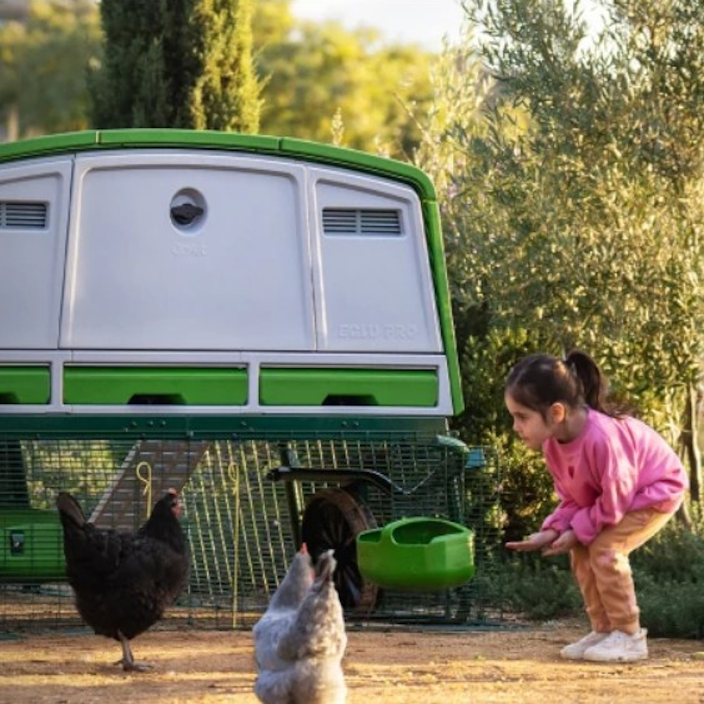 A little girl crouching in front of chickens with seeds in her hand
