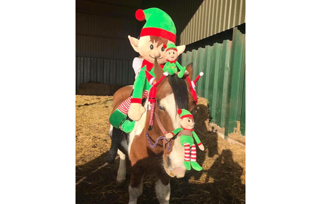 Rider xmas traditions - web feature