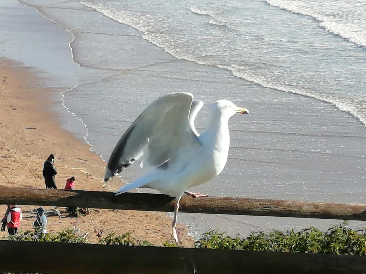 The third camera isn&rsquo;t a zoom lens, which means horrific digital zoom results.