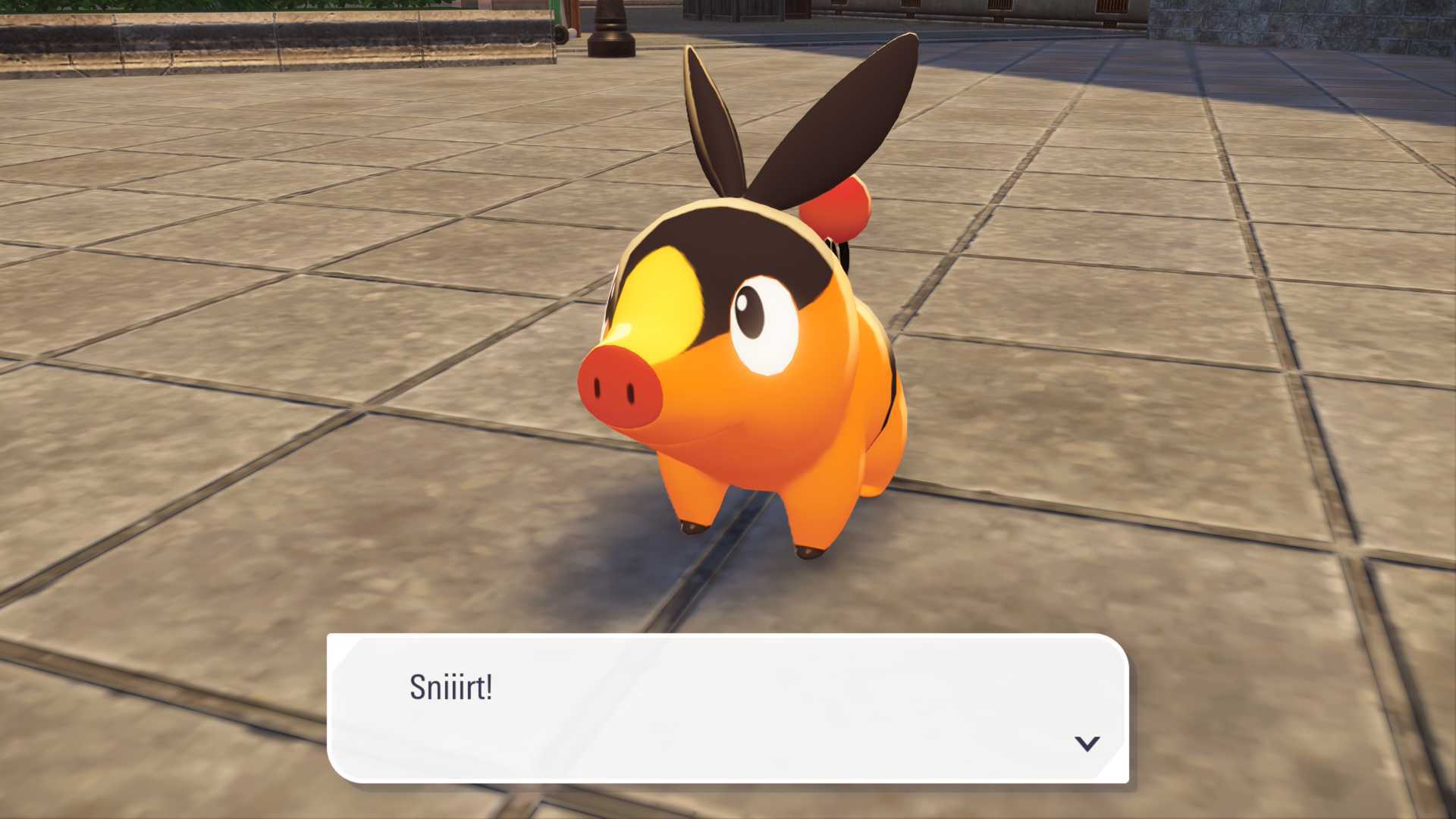 Tepig stands on the ground, with a speech bubble that says 