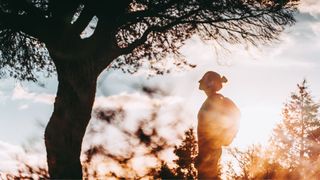 Woman looking up at tree in the fresh air