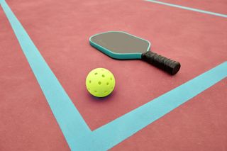 image of a pickleball court with ball and paddles