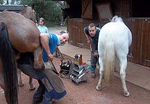 farriers-at-work.jpg