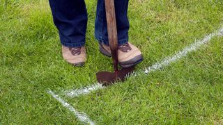 cutting a lawn along white marked line