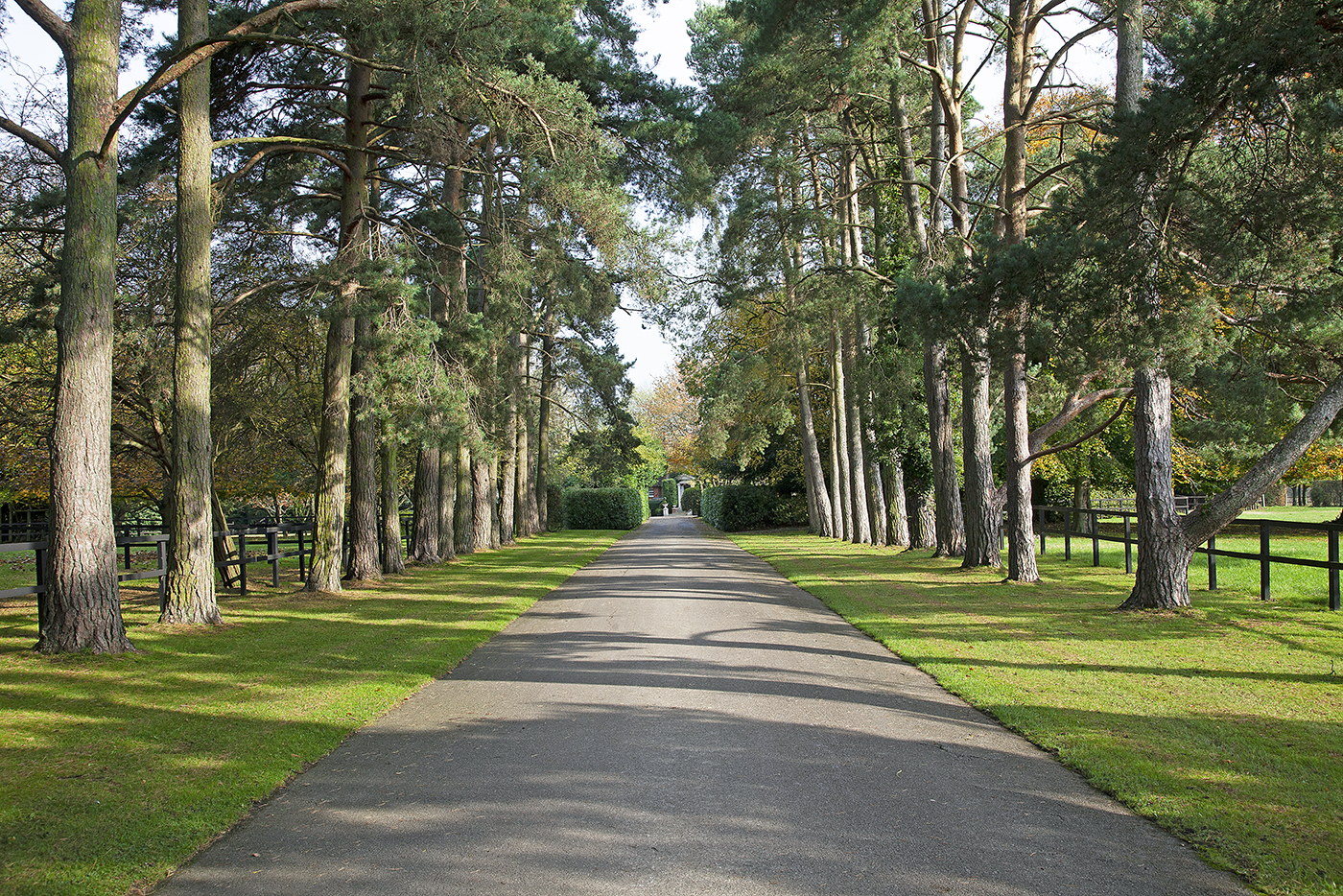 Holmer Ridings, Savills 5
