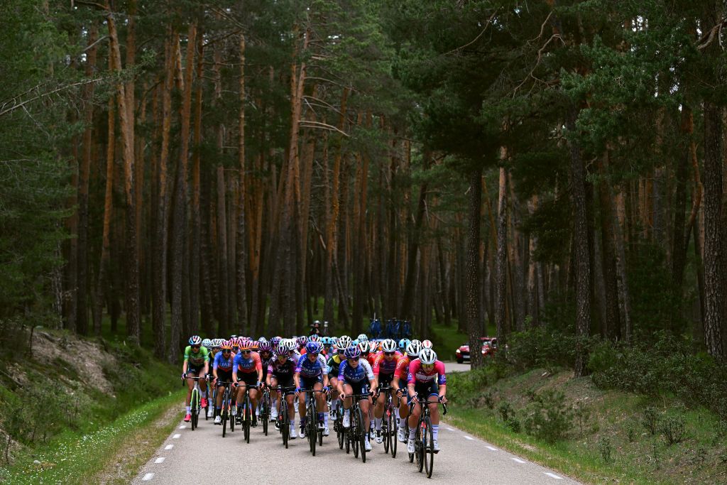 The peloton passing through a forest landscape