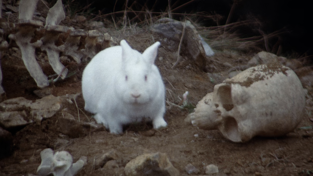 Screenshot of the deadly white rabbit from Monty Python and the Holy Grail