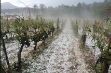 Languedoc hail