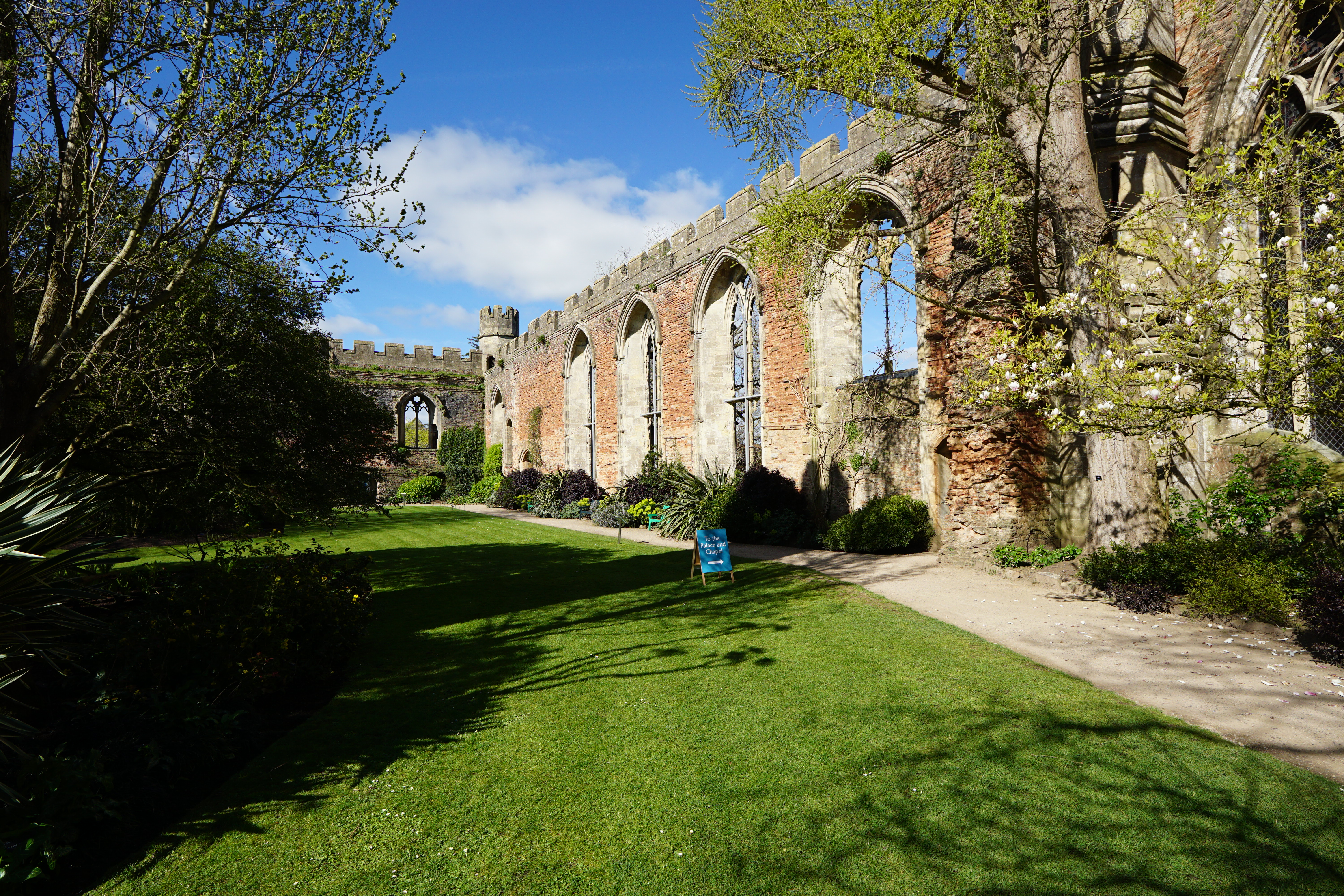 Sigma 12mm f/1.4 DC | C example shot