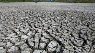 Dried and cracked mud is seen in a dried out area
