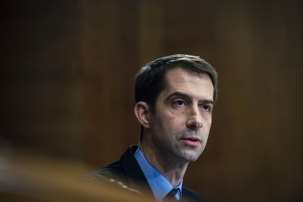 Tom Cotton.