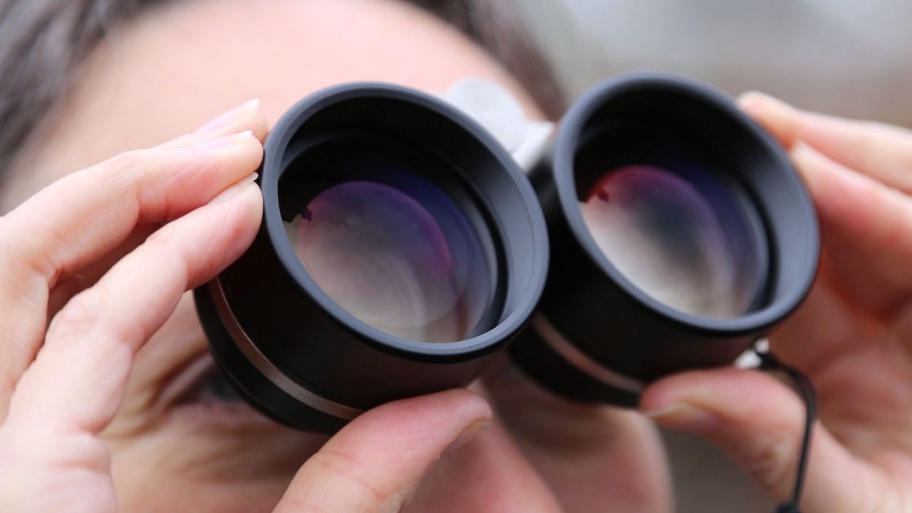 Vixen SG 2.1x42 binoculars review