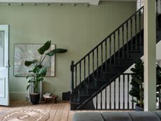 Entryway with green walls, dark wood bannisters and house plants.