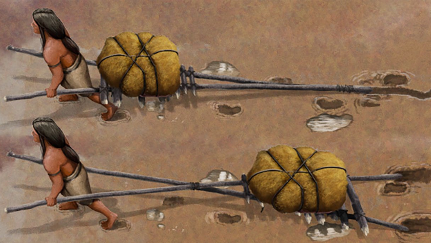 An illustration of two Indigenous people pulling hand cart-like contraptions 