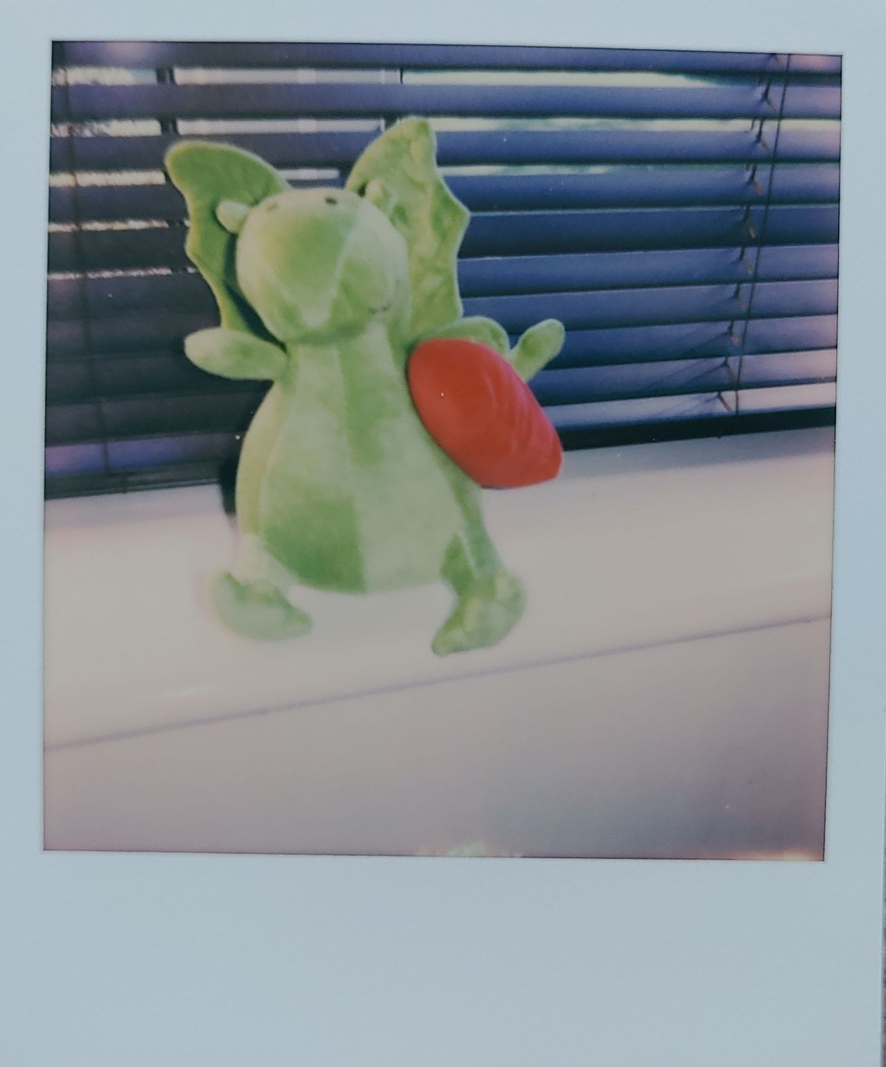 Polaroid Now