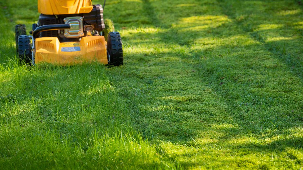 how to mow a lawn – yellow lawnmower mowing a lawn