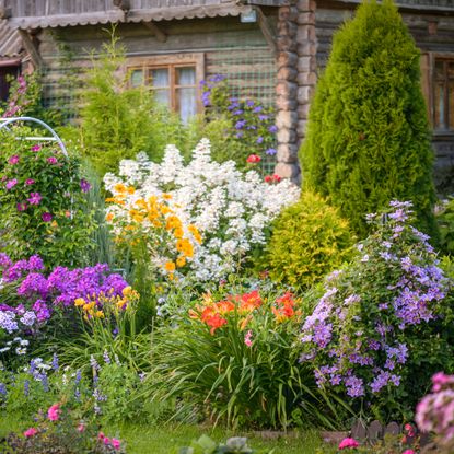 cottage garden filled with summer perennials and annuals