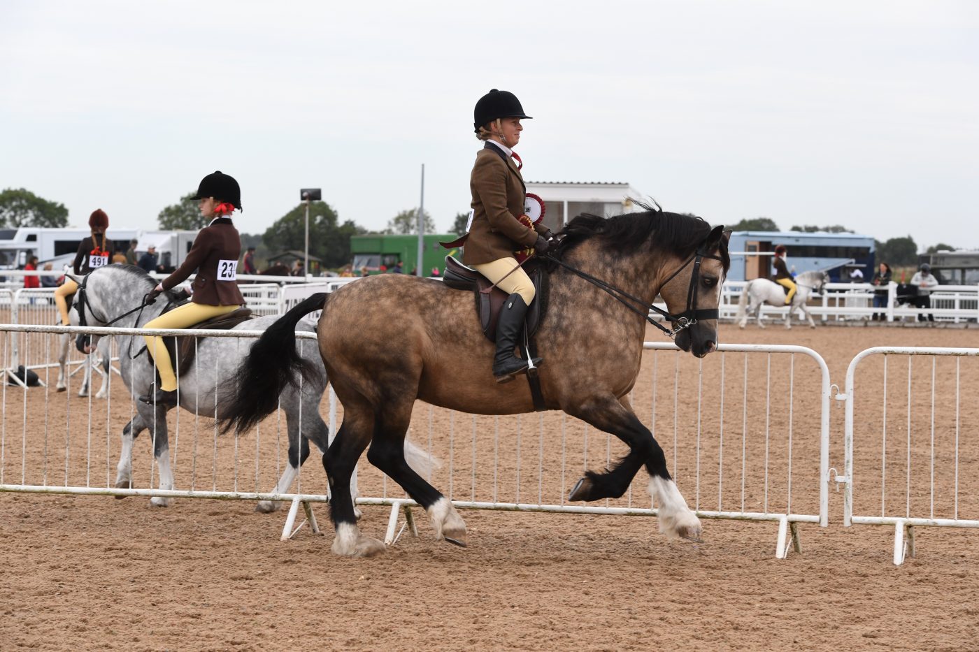 Heritage-Show-11.10.1925421_351834102_587470782-e1571237636134.jpg