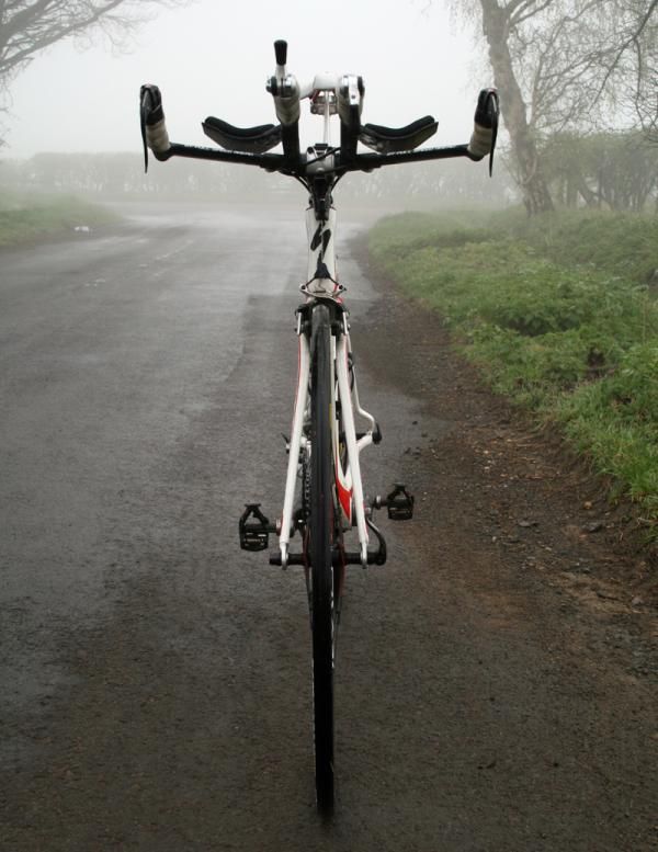 Specialized Transition Expert