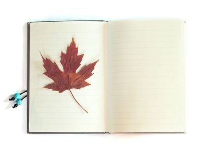 Autumn Leaf On Open Notebook Page