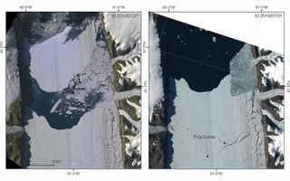 Left: ASTER satellite image of Petermann Glacier from 2012 shows the calving event. Right: Sentinel-2 image taken July 31, 2018, reveals newly developing fractures.