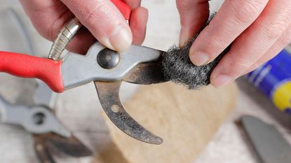 cleaning pruning shears using wire wool