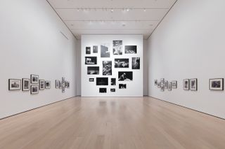 Installation view of Projects: Ming Smith, on view at The Museum of Modern Art, New York from February 4, 2023 – May 29, 2023