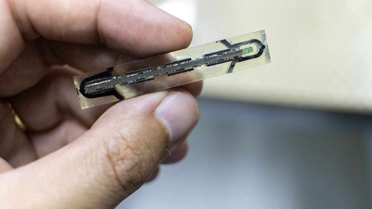 A cross-sectioned chip ready for inspection