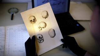 Researchers analyze DNA from the skulls.