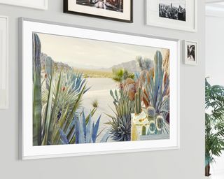 Samsung frame on white wall surround by gallery