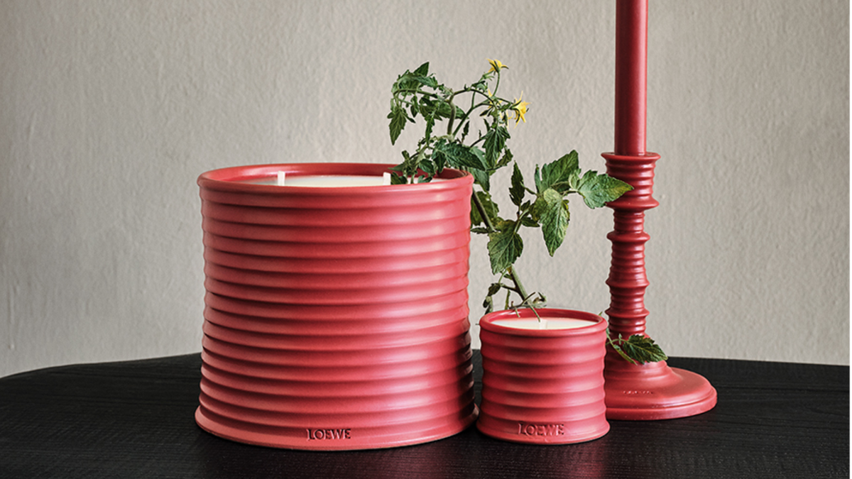 LOEWE TOMATO LEAVES お香立て Tomato Leaves wax candleholder | LOEWE Perfumes