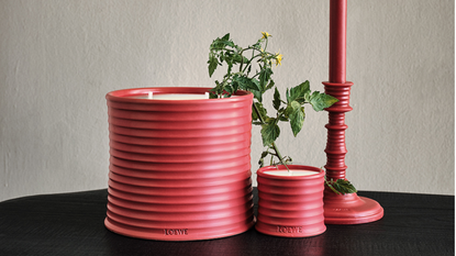 Loewe tomato candles on a table