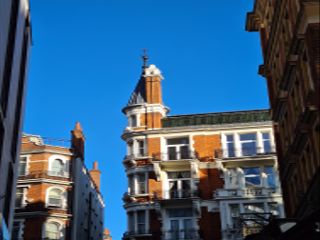 A 3x optical zoom image