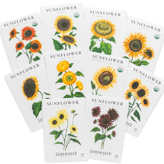 a variety pack of 10 different sunflower seed