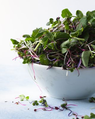 How to grow microgreens - delicious garnish