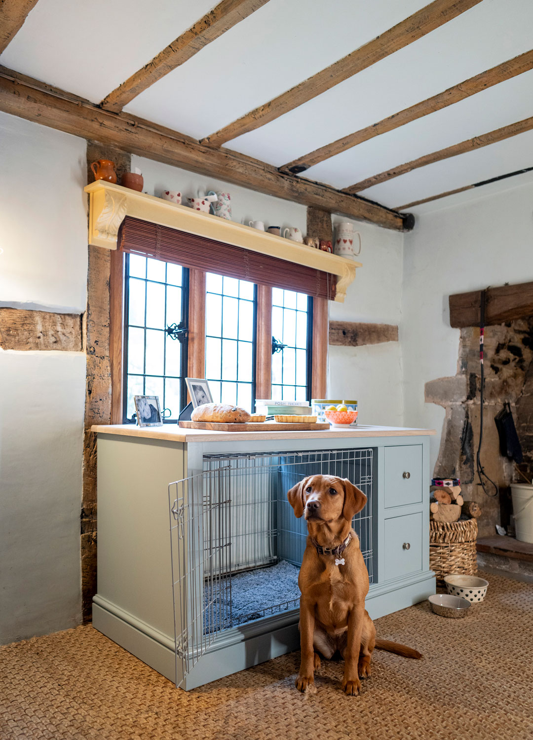 dog sitting by bespoke god crate with storage