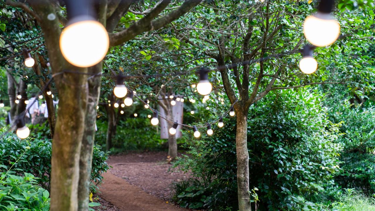 String lights over a path 