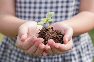 Girl holding a seedling