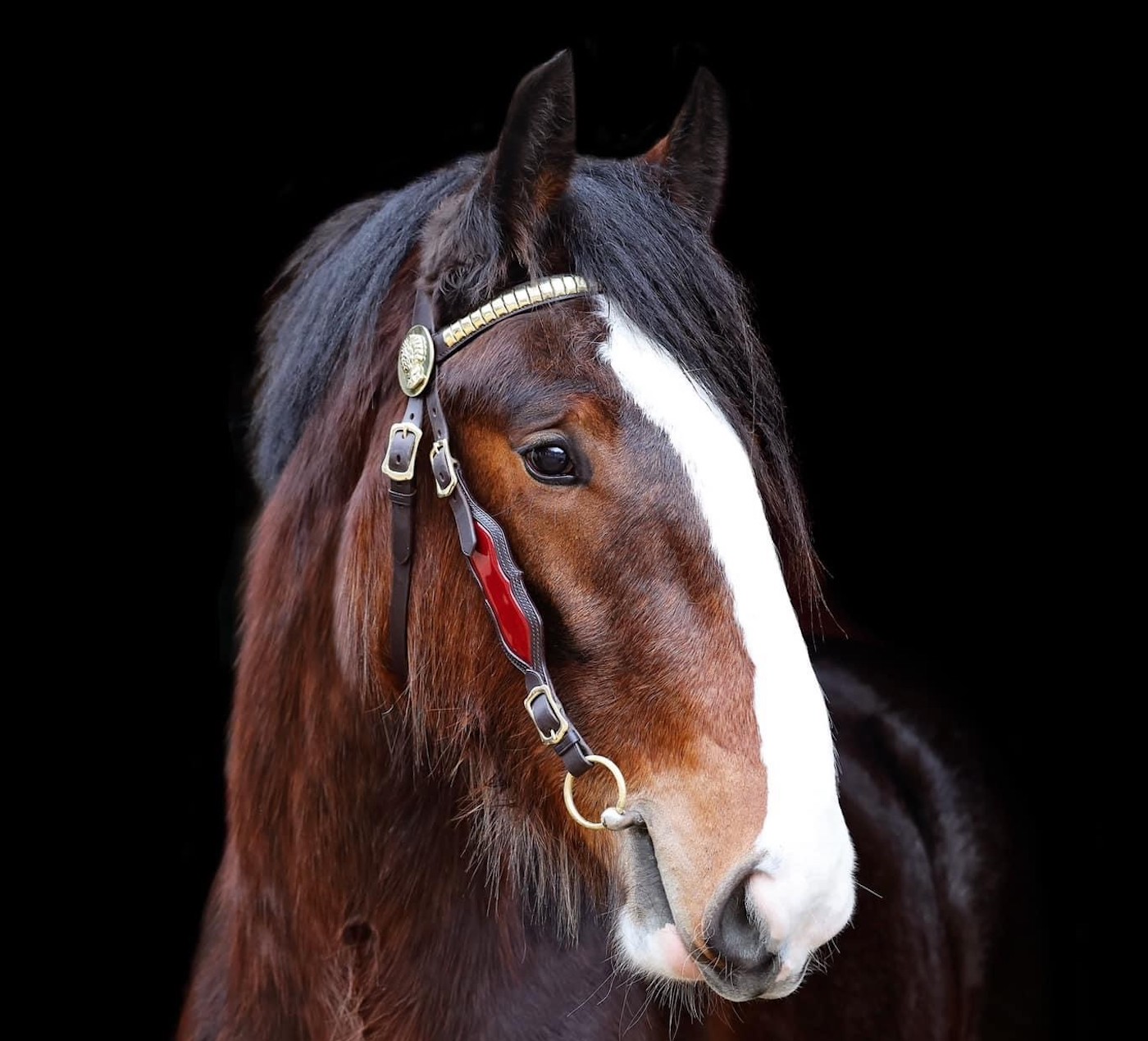 Cromwell