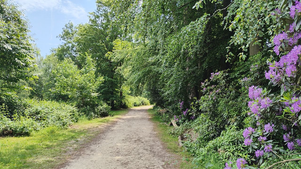 Motorola Razr 40 Ultra review - camera samples