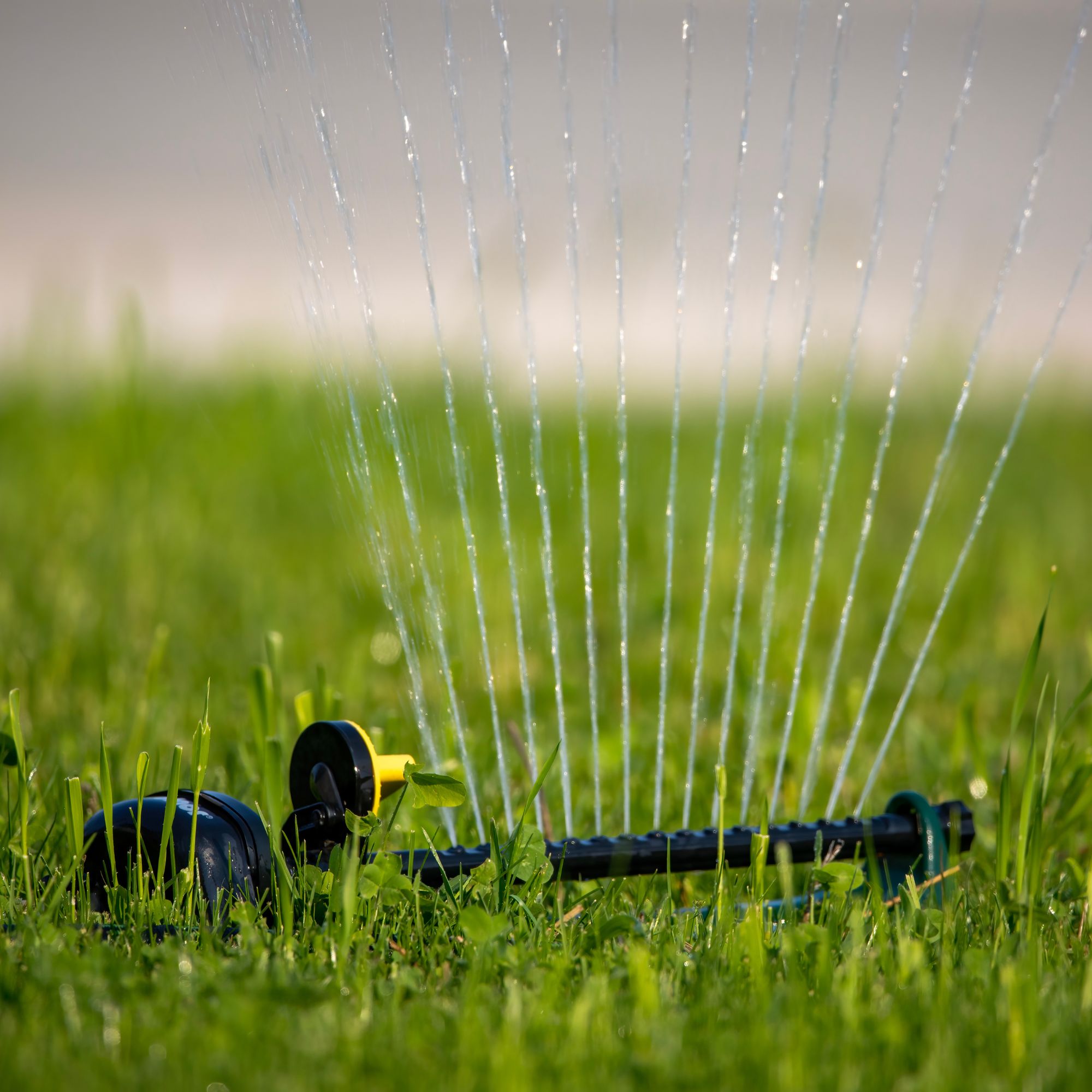 Sprinkler watering lawn=