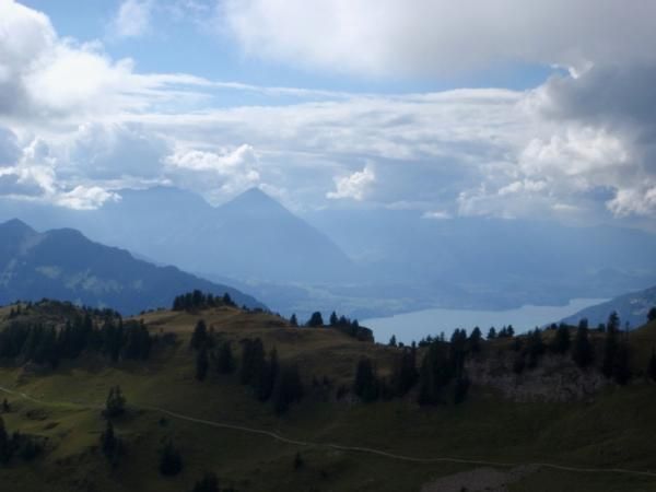 A view of Lake Thun