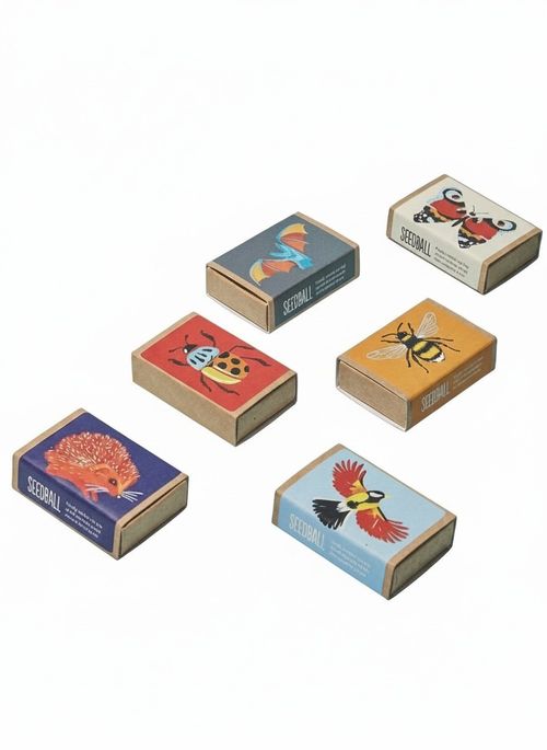 Wildflower Seeds for Garden Wildlife Collection