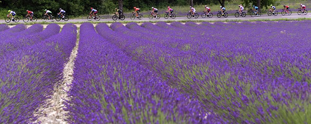 Matteo Trentin (Mitchelton-Scott) wins stage 17 at the Tour de France