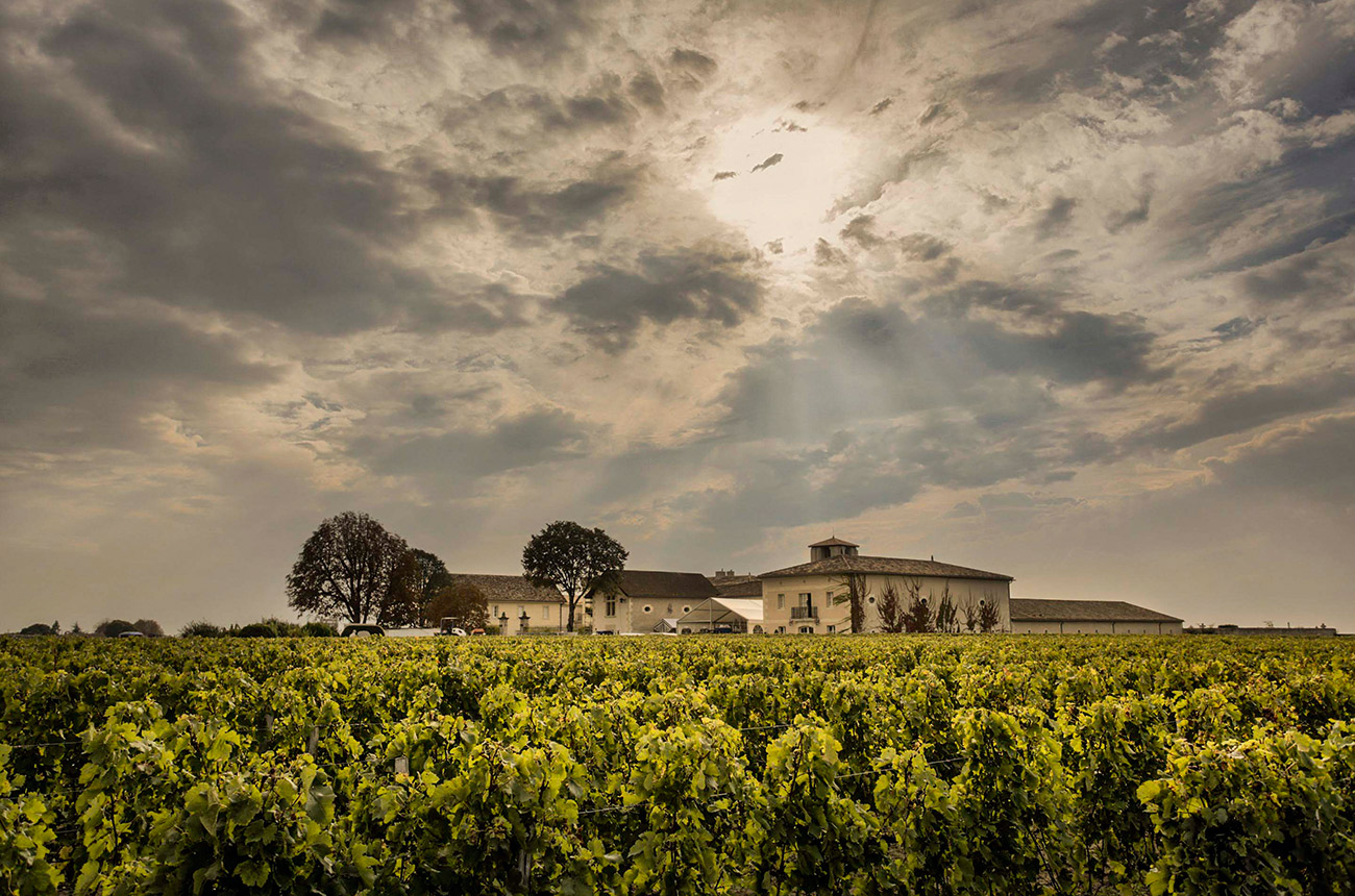 Ch&acirc;teau Canon vineyards in St-Emilion