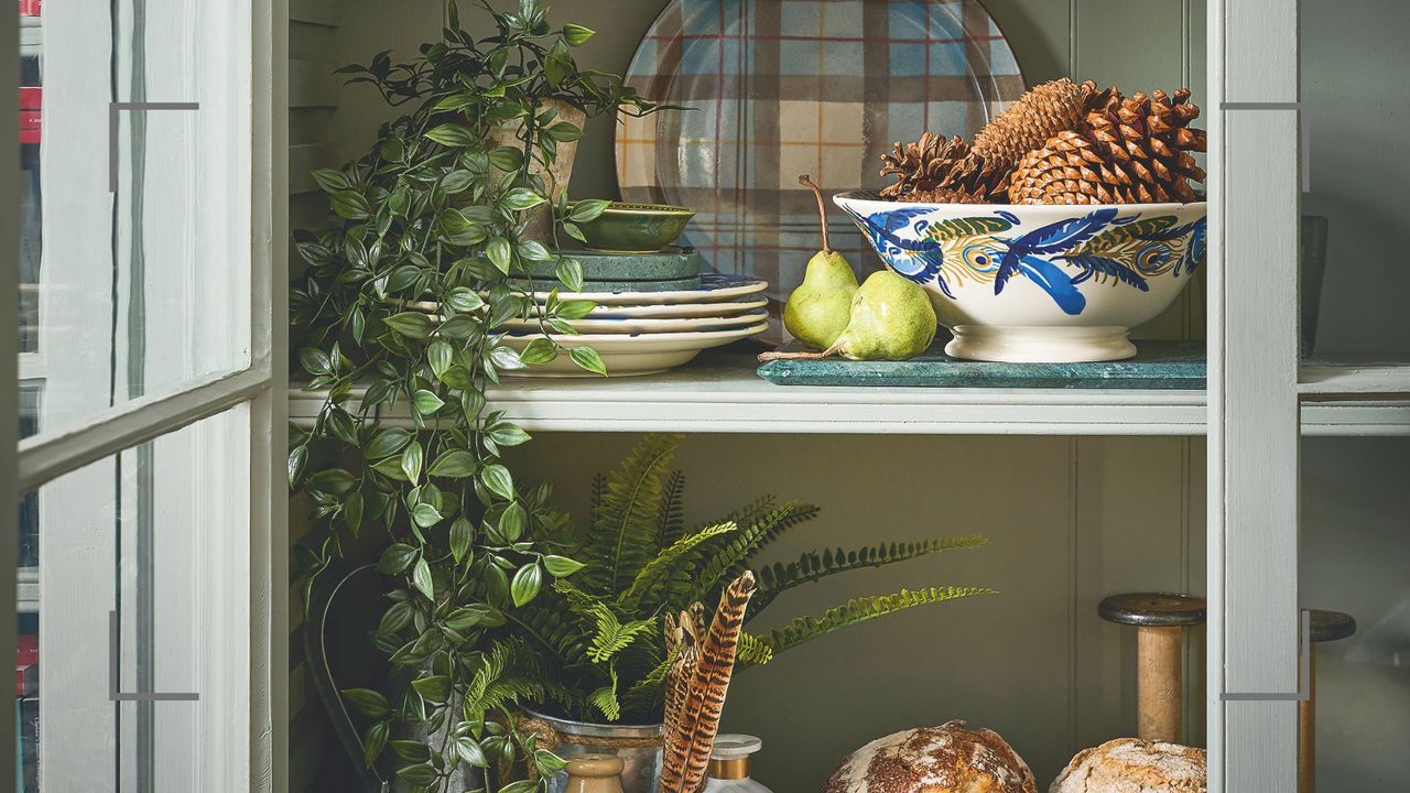 a sage green display cabinet with plaid plates and bowls with houseplants